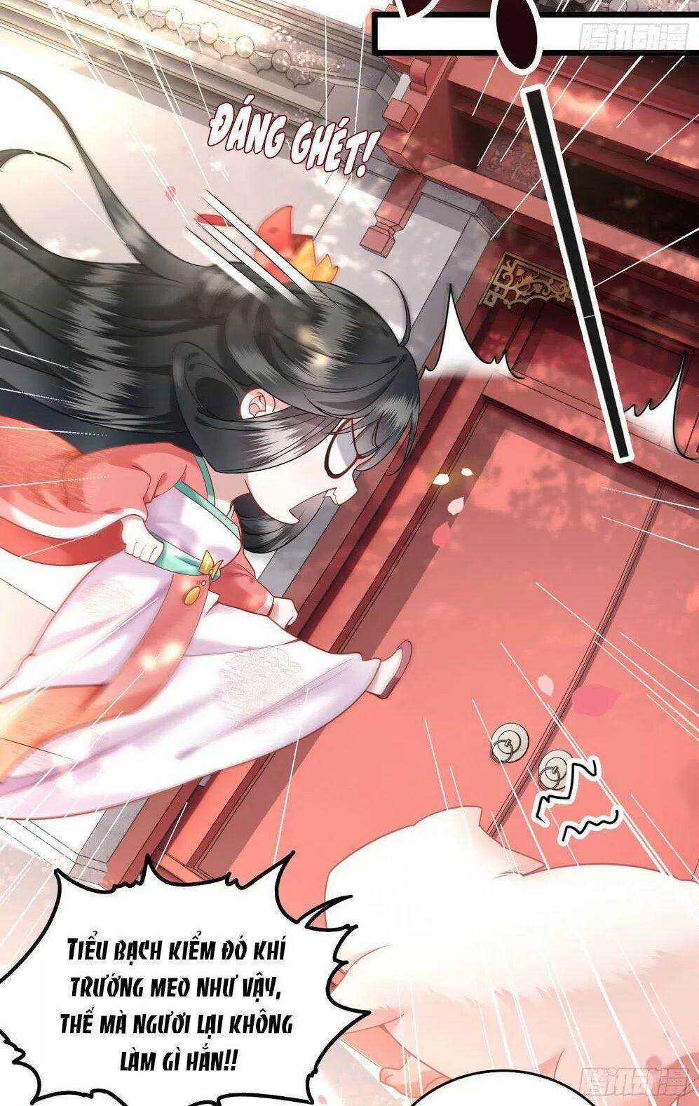 Con Đường Hoang Dã Của Vương Phi 9 trang 21