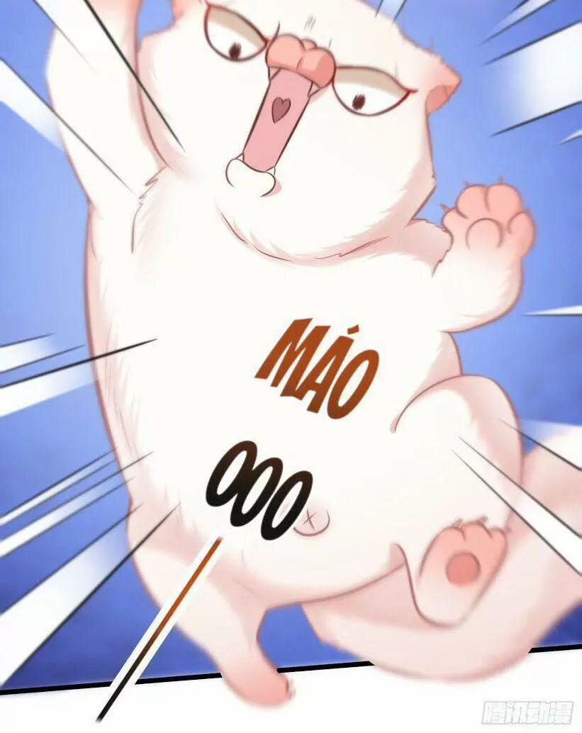 Con Đường Hoang Dã Của Vương Phi 9 trang 7