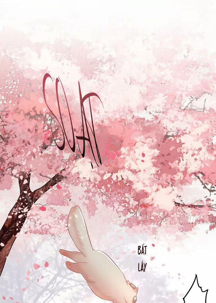 Con Đường Hoang Dã Của Vương Phi 9 trang 8