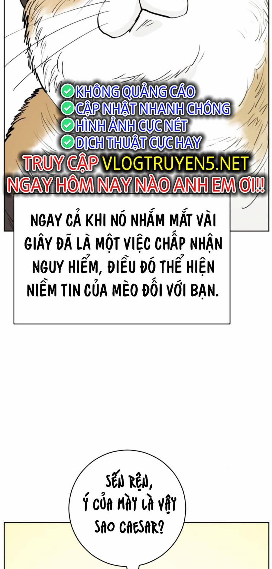 Con Mèo Đô Vật Của Tôi Chương 4 Trang 17