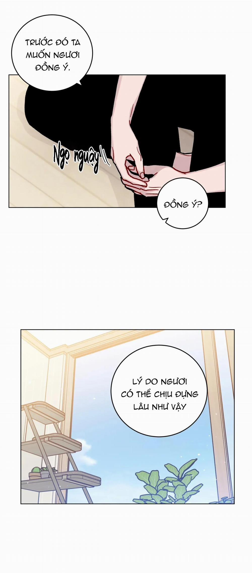 Cơn Mưa Rào Mùa Hạ 13 trang 18