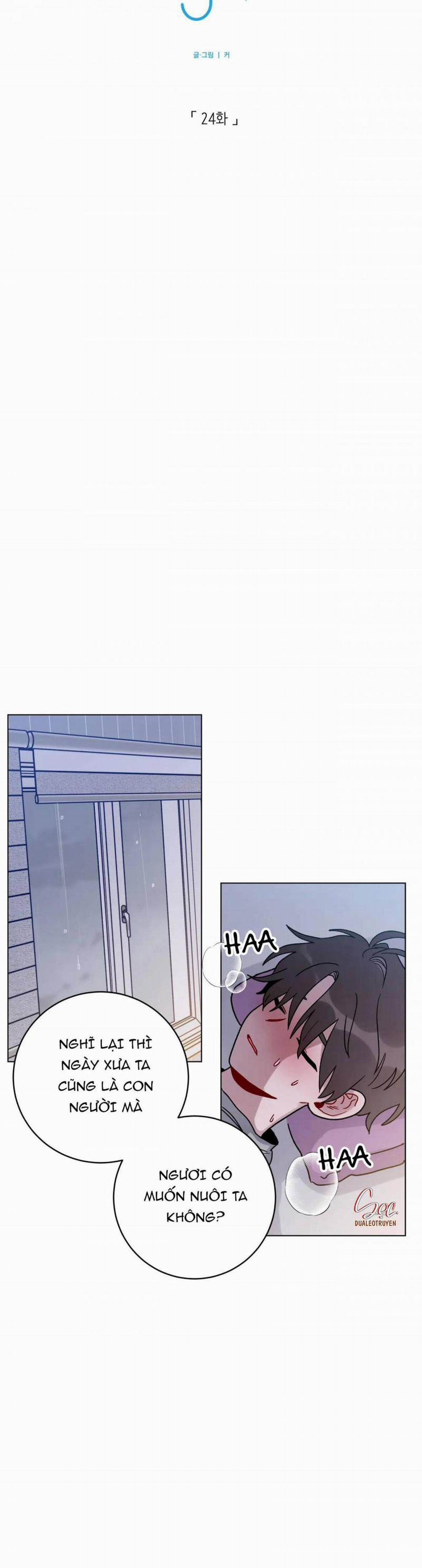 Cơn Mưa Rào Mùa Hạ 24 trang 12