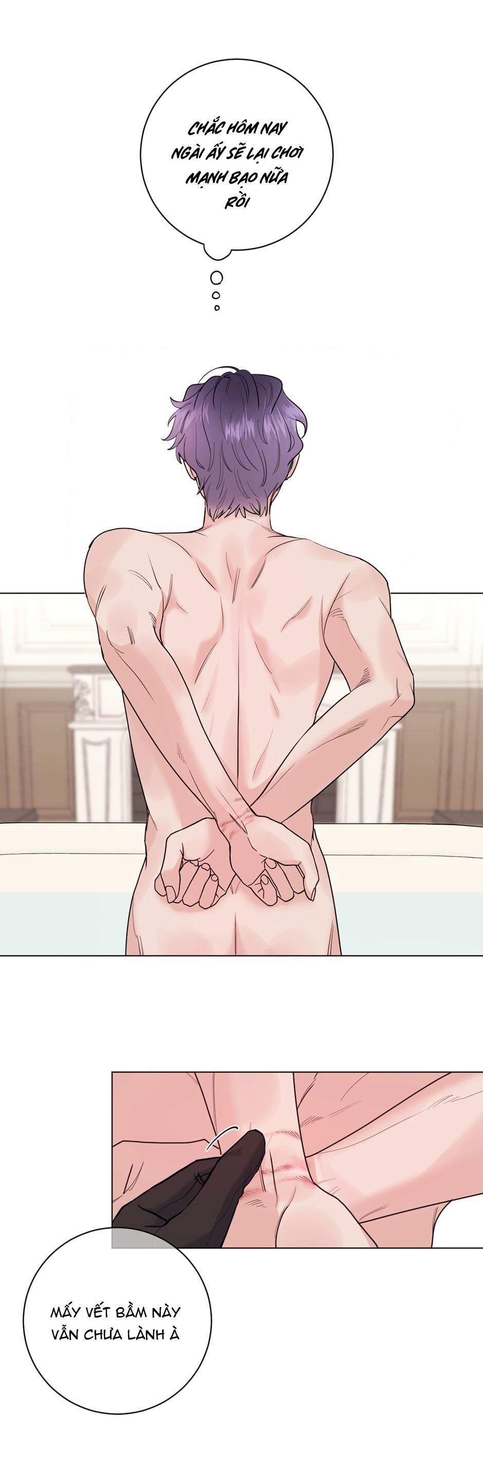 Con Rối Của Ngài Hầu Tước 12 trang 12