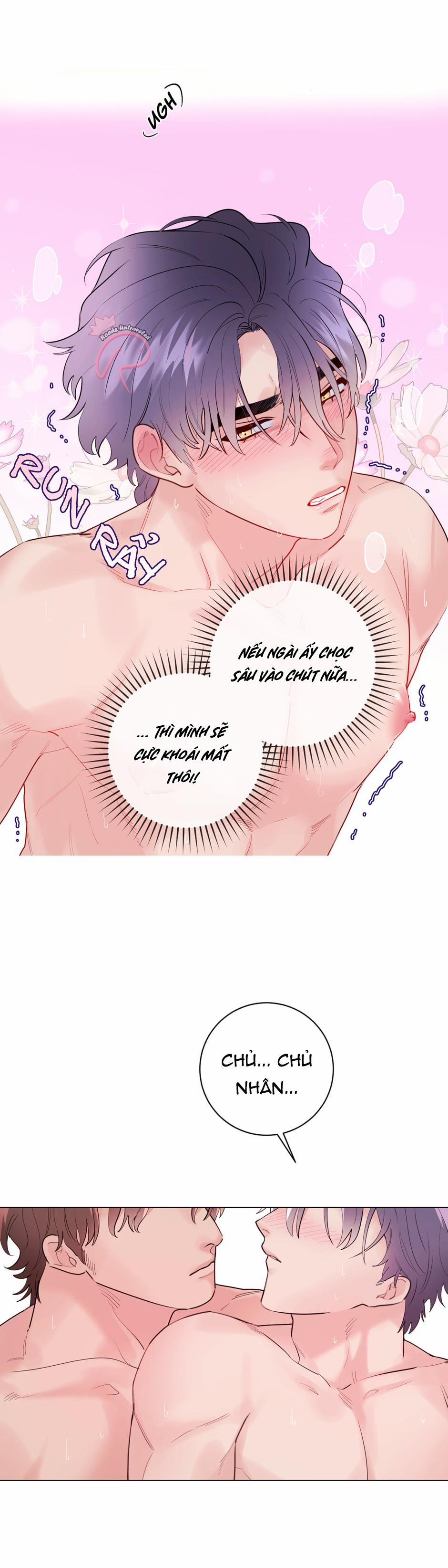 Con Rối Của Ngài Hầu Tước 12 trang 17
