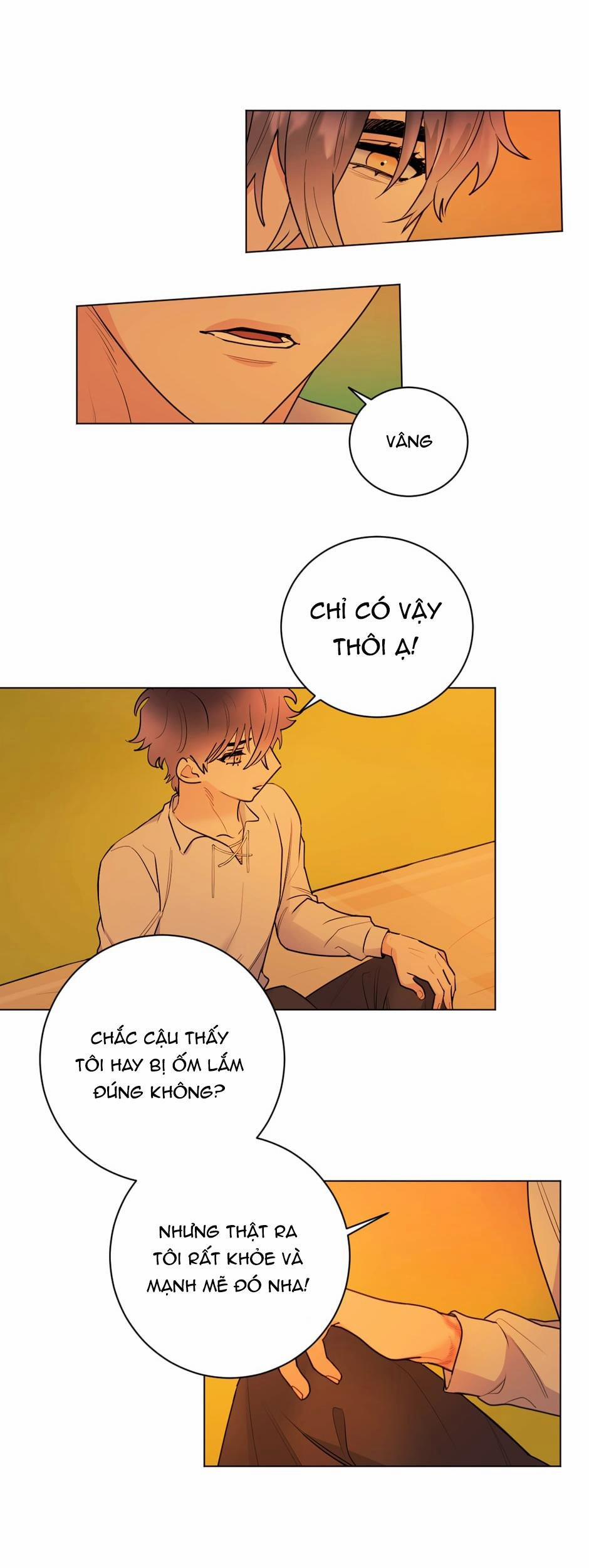 Con Rối Của Ngài Hầu Tước 15 trang 2