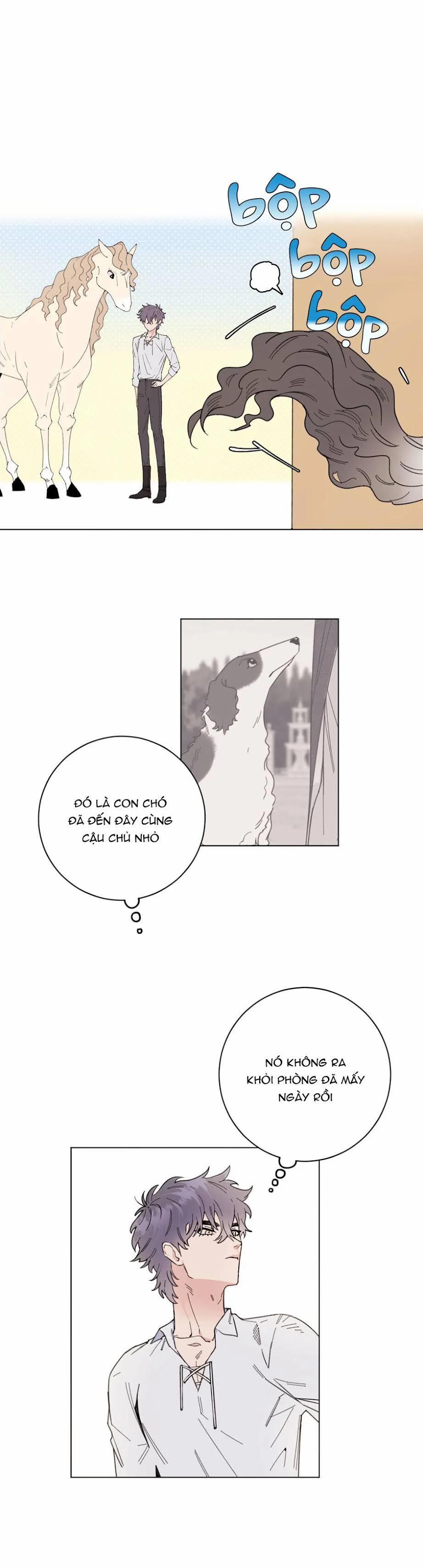 Con Rối Của Ngài Hầu Tước 2 trang 19