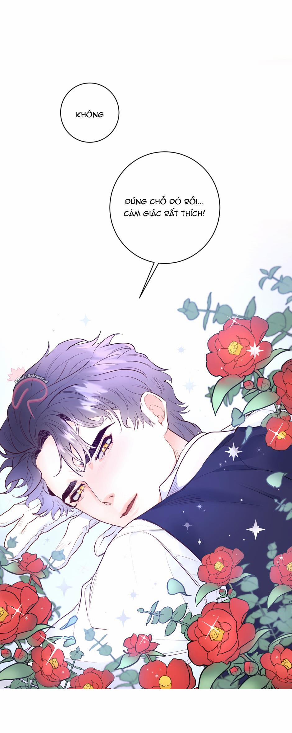 Con Rối Của Ngài Hầu Tước 8 trang 8