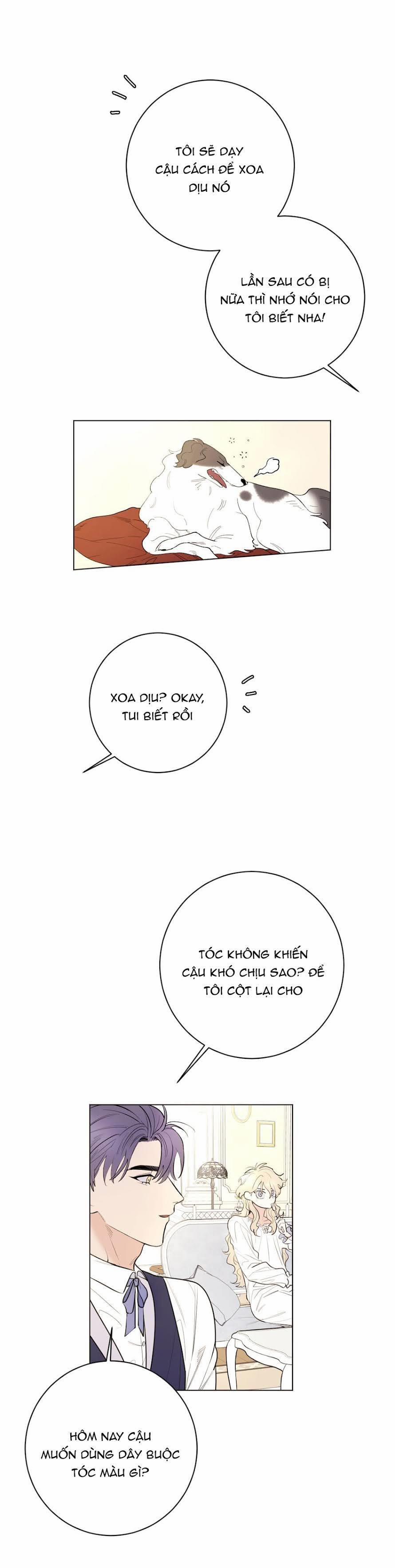 Con Rối Của Ngài Hầu Tước 9 trang 17