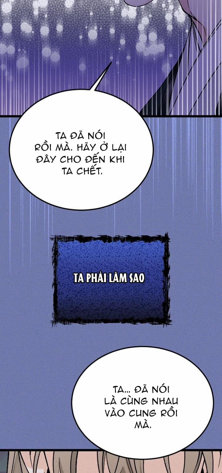 Cơn Sốt Tình 56 trang 47