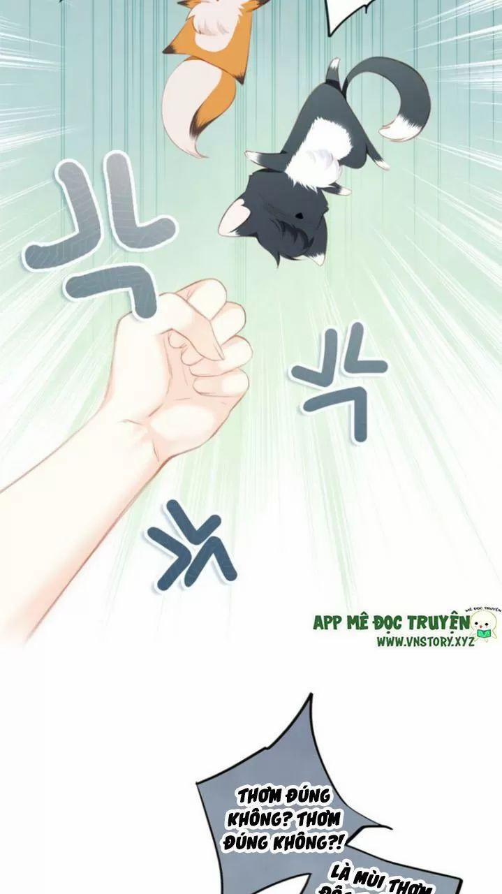 Con Tim Rung Động 2 124 trang 26