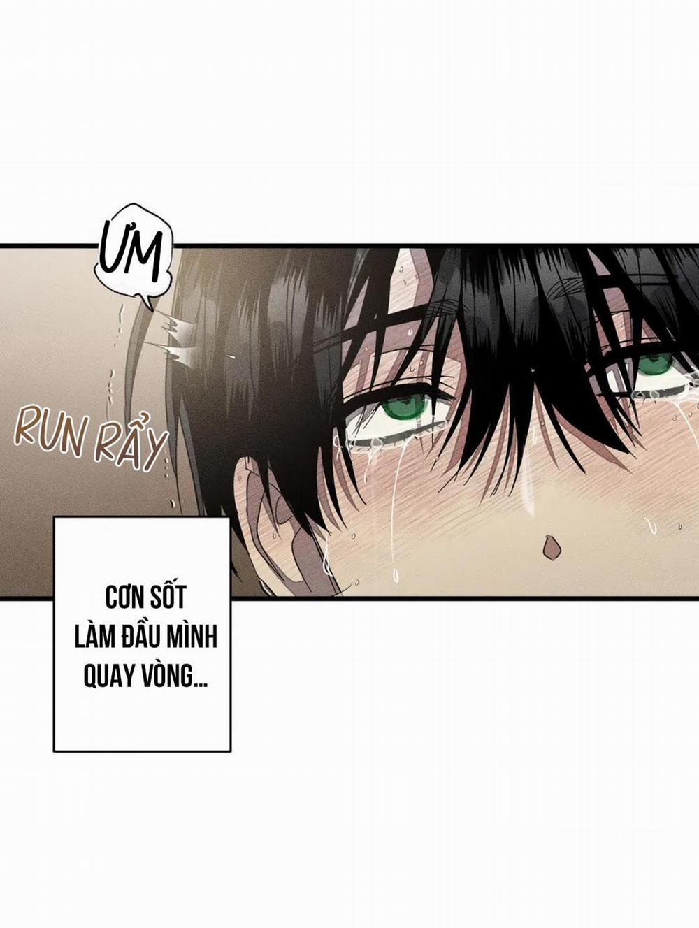 Công Lập Left Fluke 21 trang 37