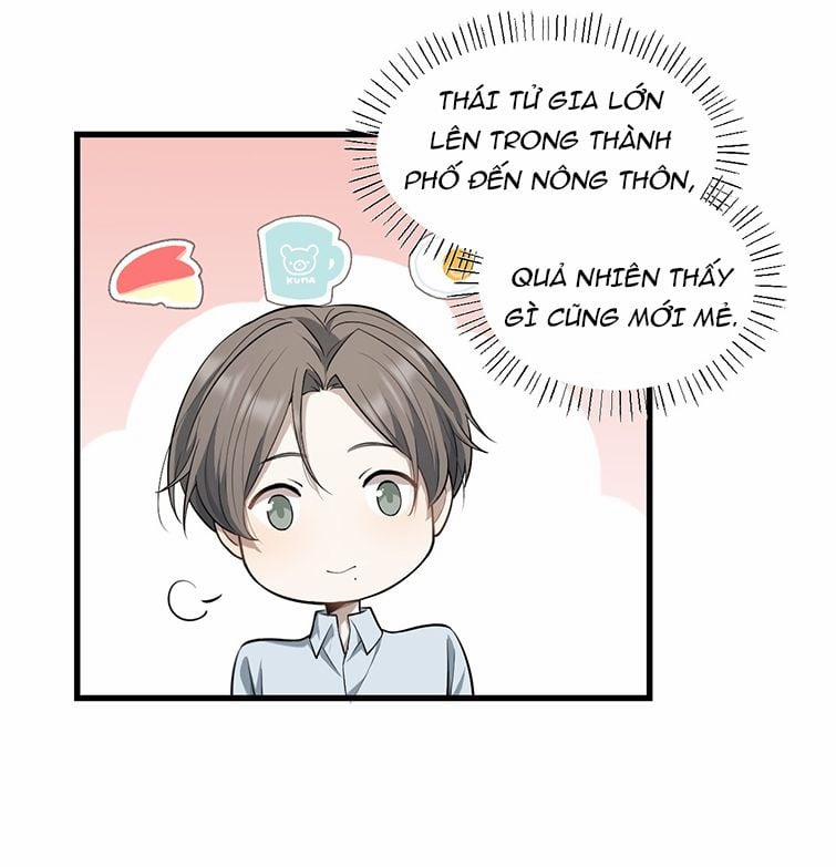 Công Thức Mỹ Học 10 trang 17