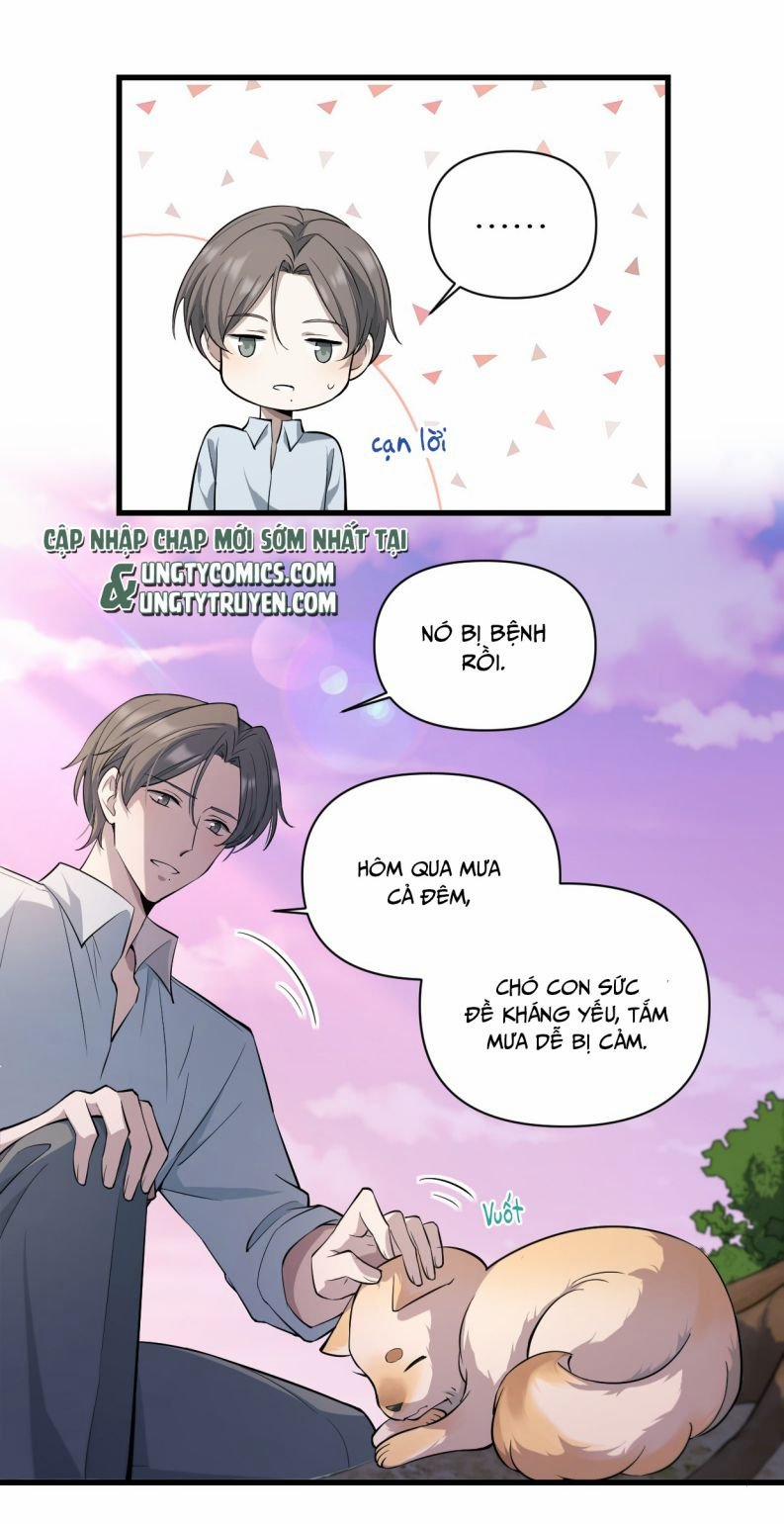 Công Thức Mỹ Học 11 trang 13