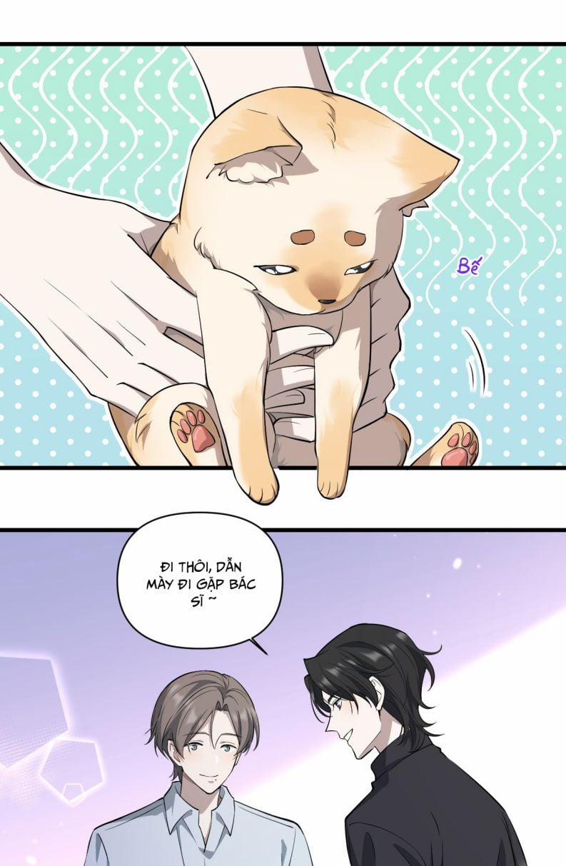 Công Thức Mỹ Học 11 trang 17