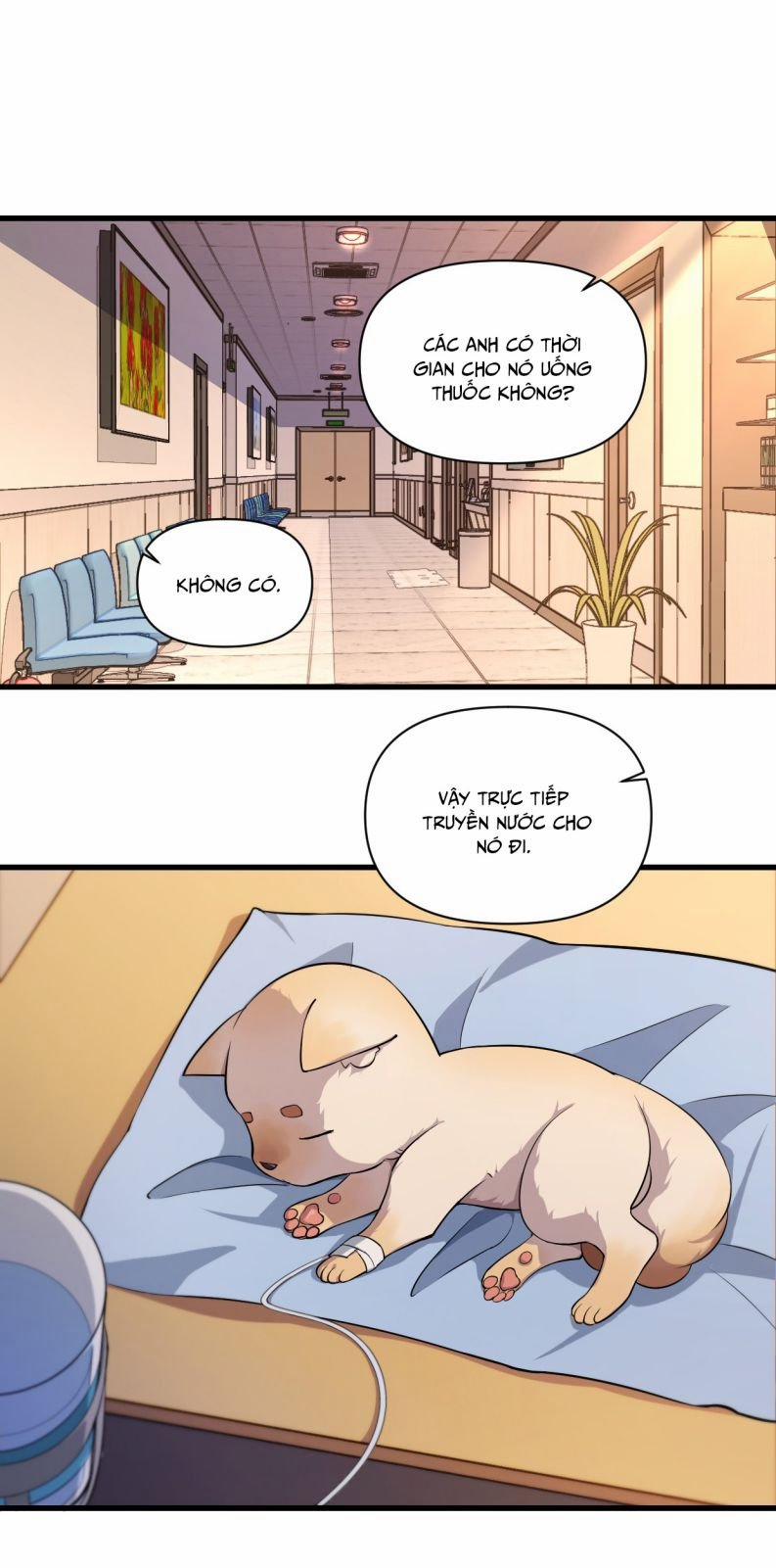 Công Thức Mỹ Học 11 trang 19