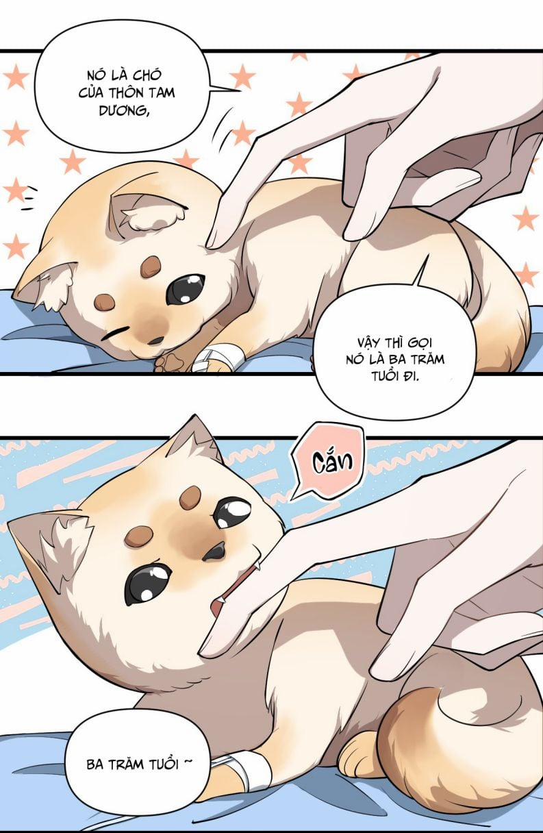 Công Thức Mỹ Học 11 trang 22