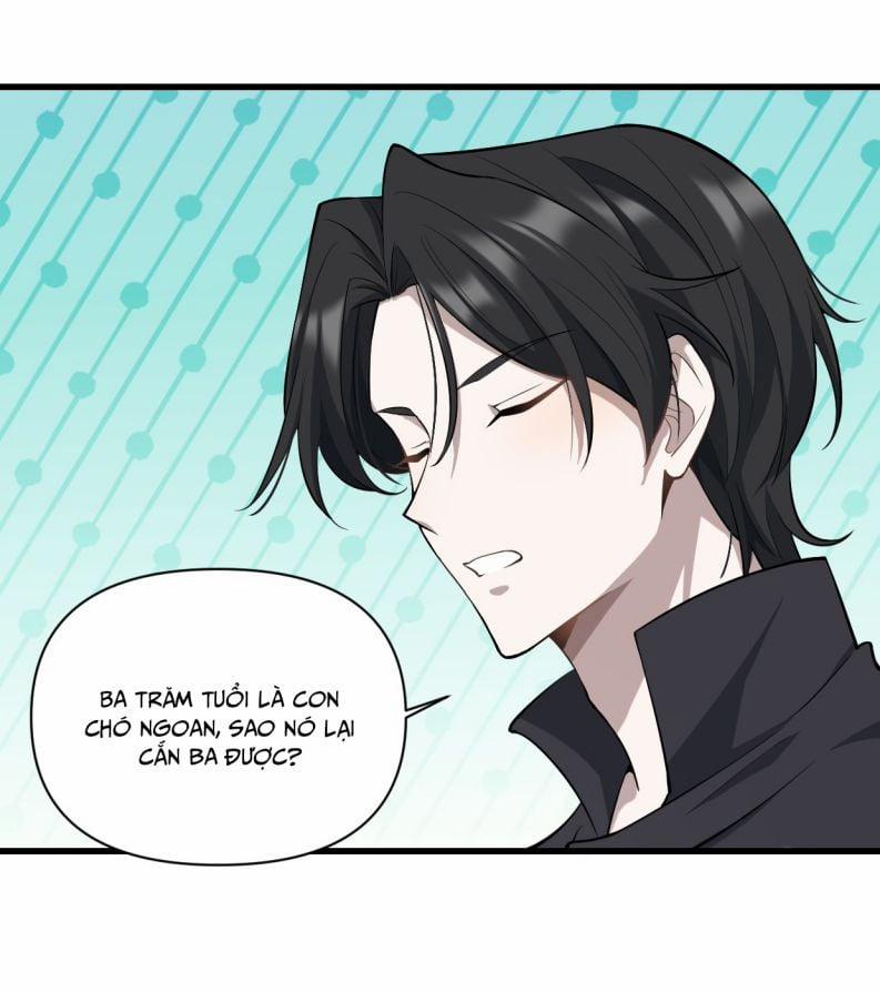 Công Thức Mỹ Học 11 trang 24