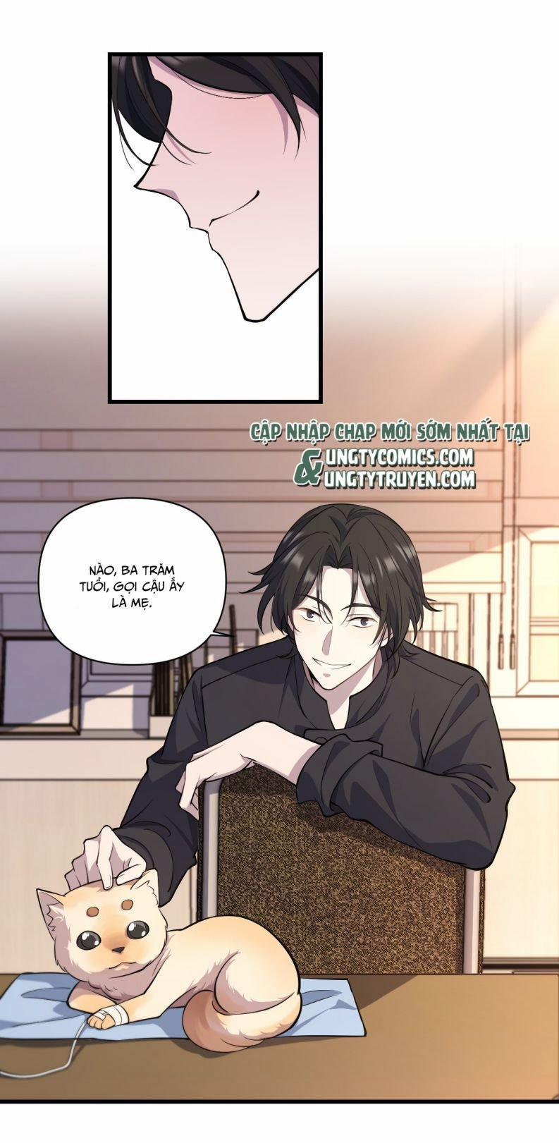 Công Thức Mỹ Học 11 trang 26