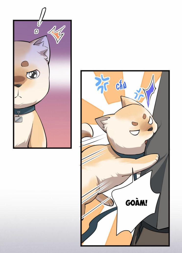 Công Thức Mỹ Học 16 trang 18