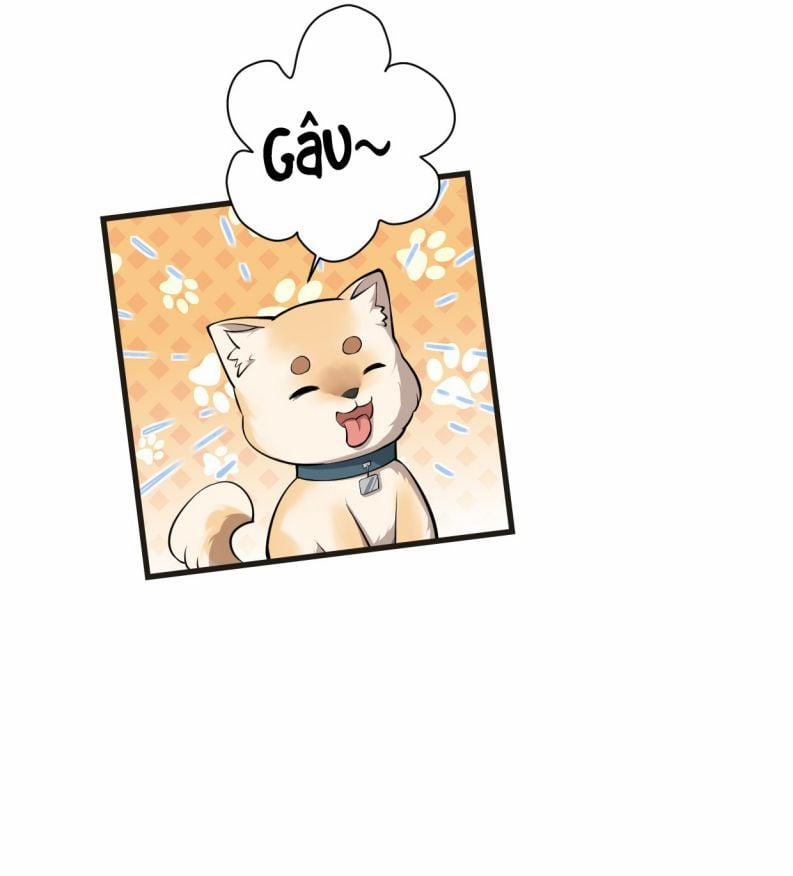 Công Thức Mỹ Học 17 trang 11