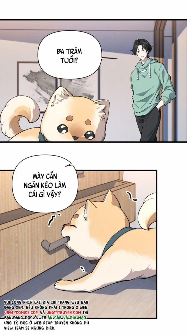 Công Thức Mỹ Học 19 trang 15