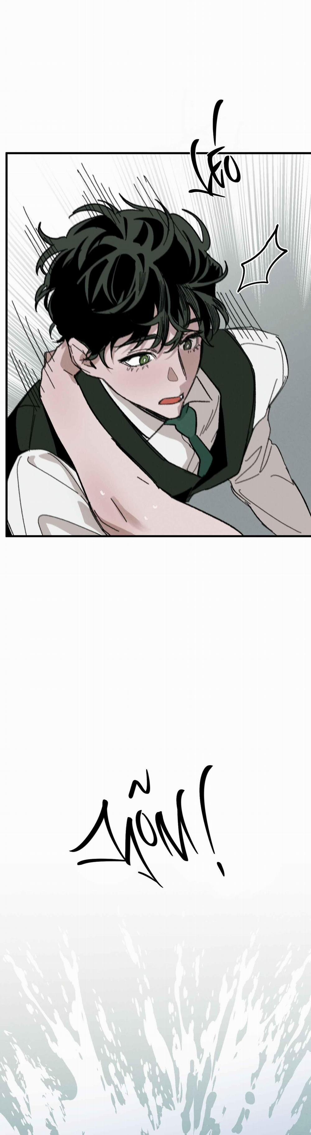 Cottage Garden 8 0 trang 20