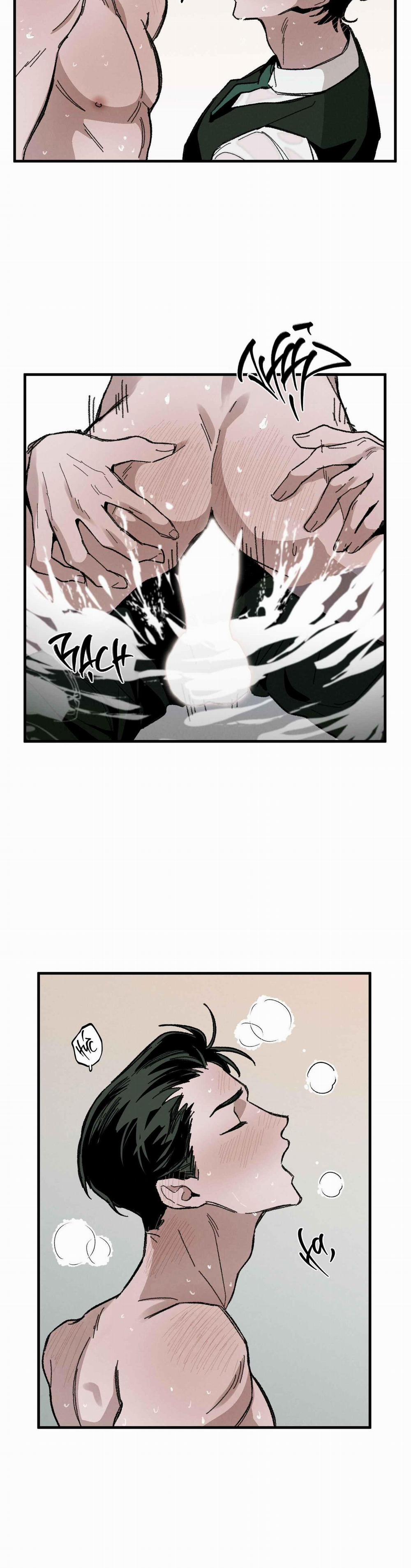 Cottage Garden 8 0 trang 27