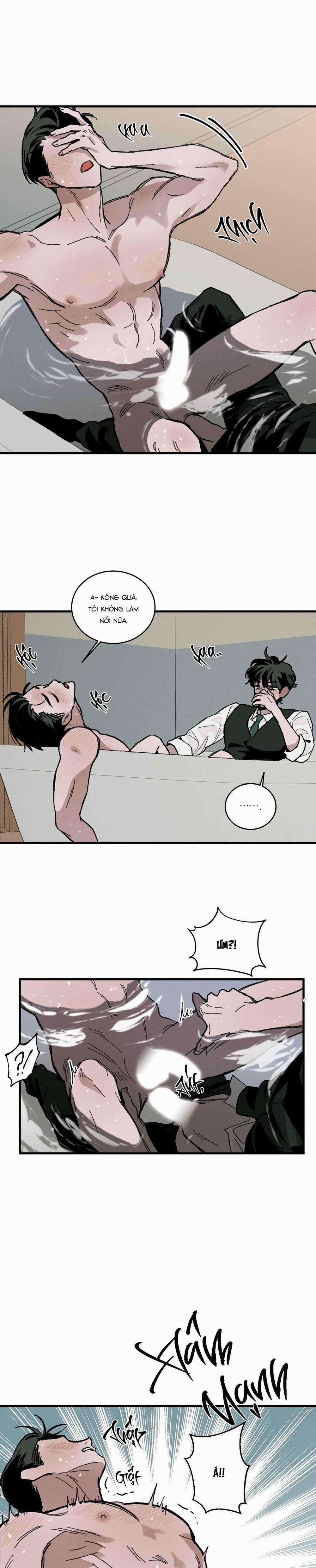 Cottage Garden 8 0 trang 28