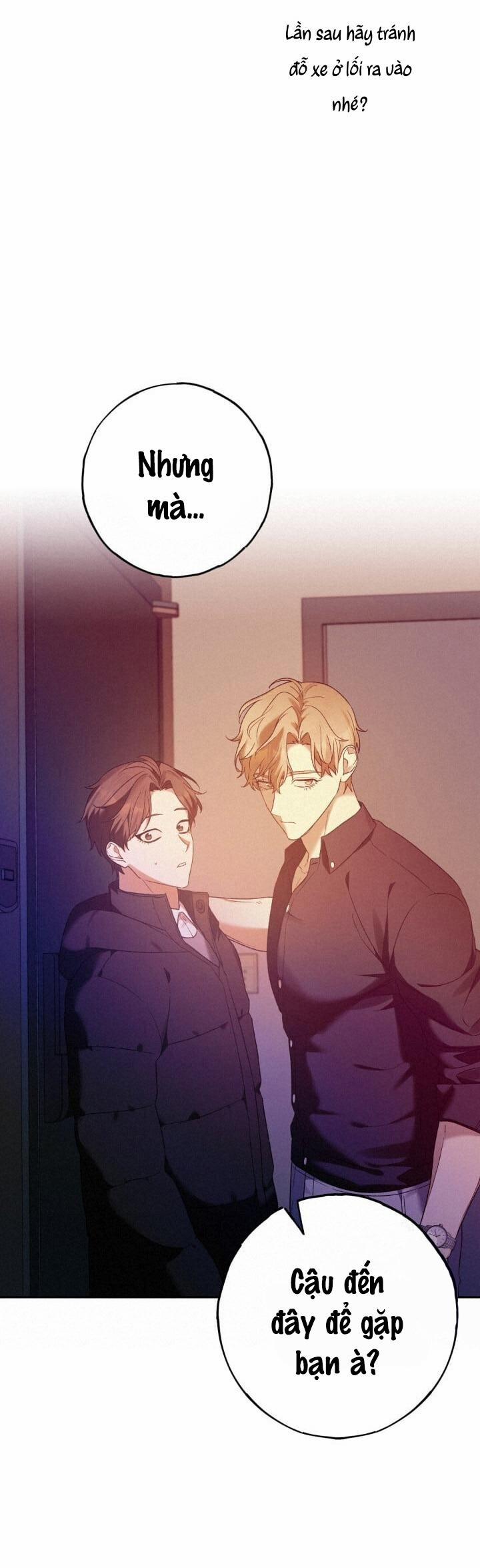 Cú Đấm Netkama 15 trang 14