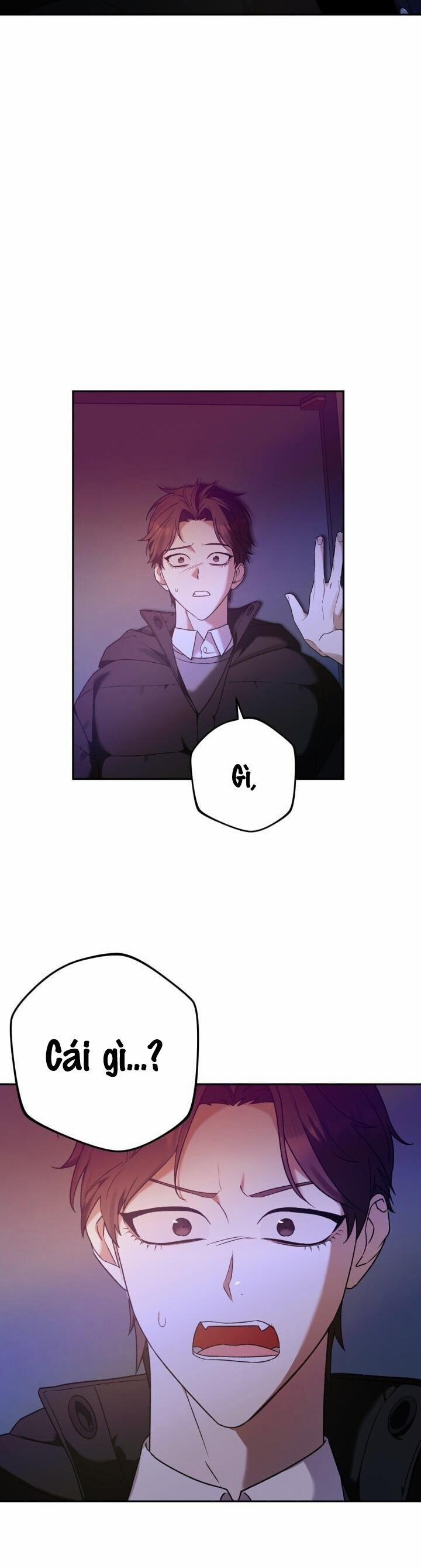 Cú Đấm Netkama 15 trang 5