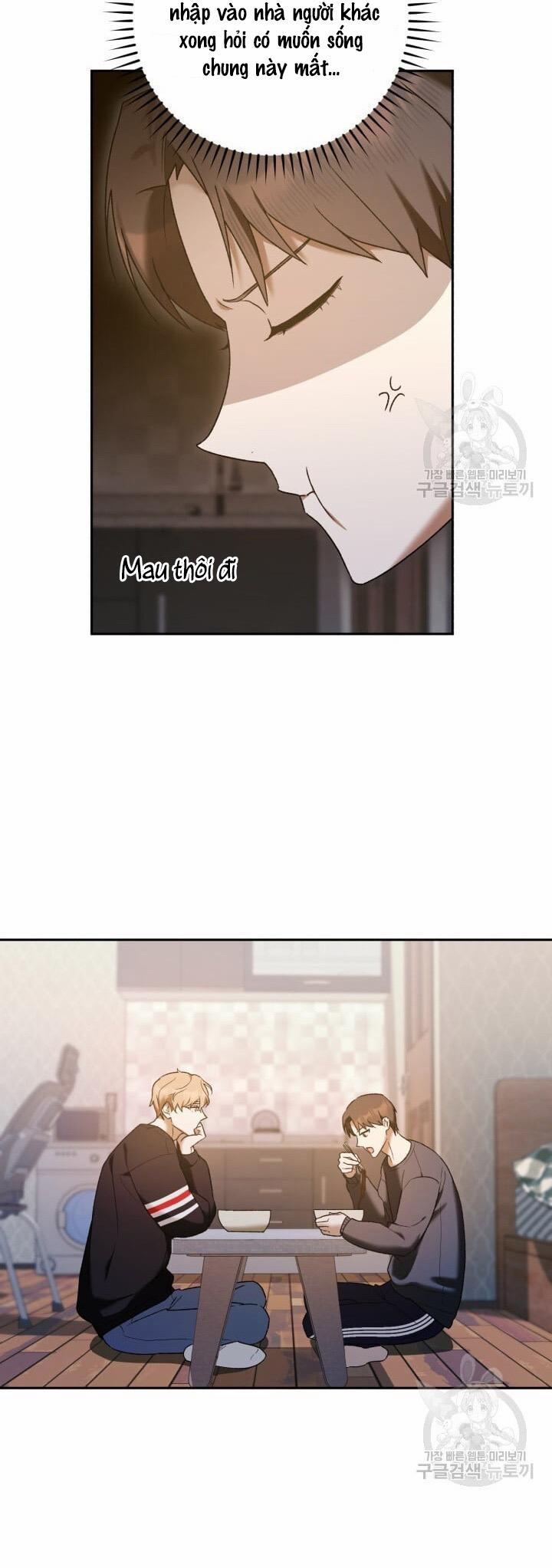 Cú Đấm Netkama 17 trang 11