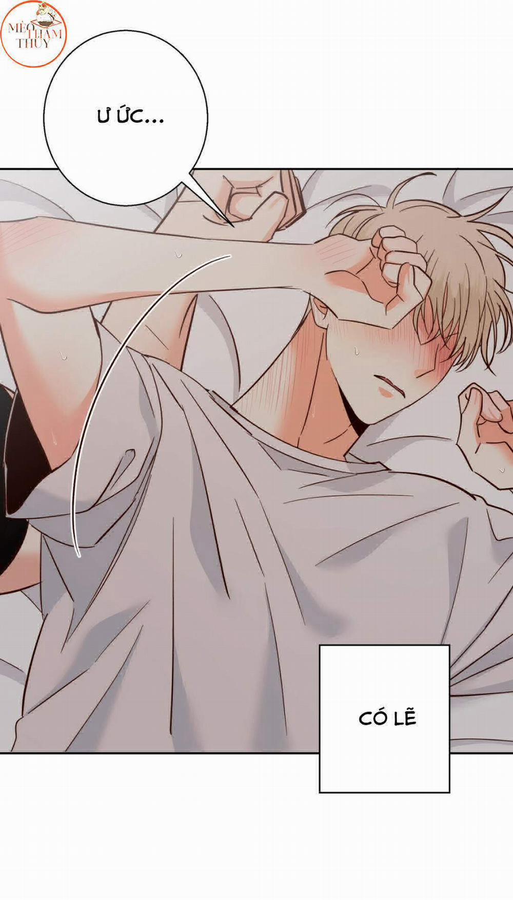 Cửa Hàng Tiện Lợi Nguy Hiểm 42 trang 20