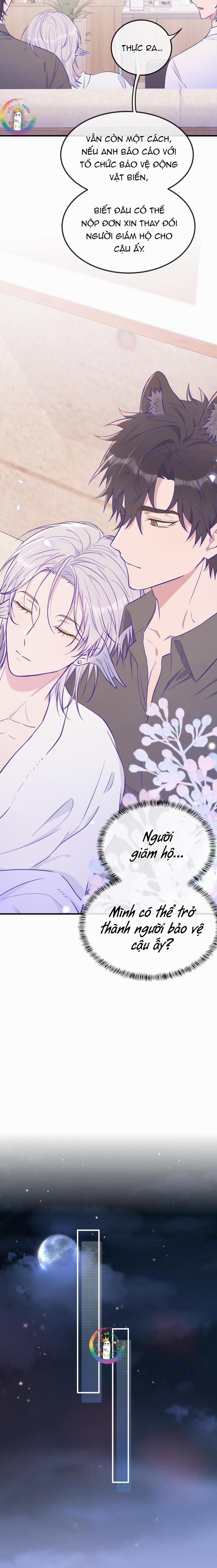 Cún Con Nói Dối Sẽ Bị Ăn Thịt 17 trang 11