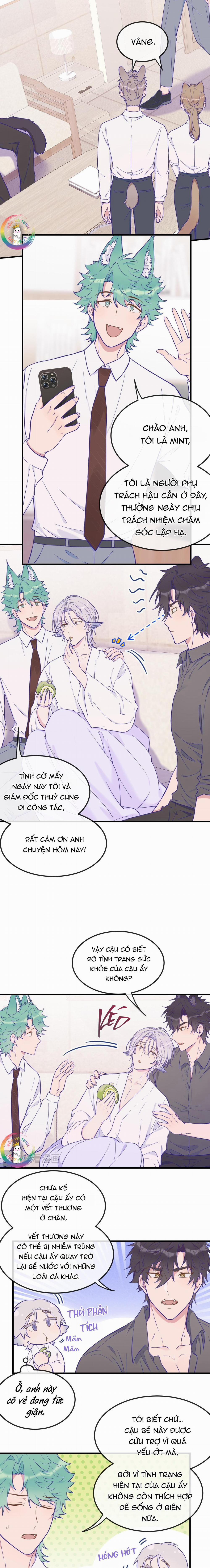 Cún Con Nói Dối Sẽ Bị Ăn Thịt 17 trang 5