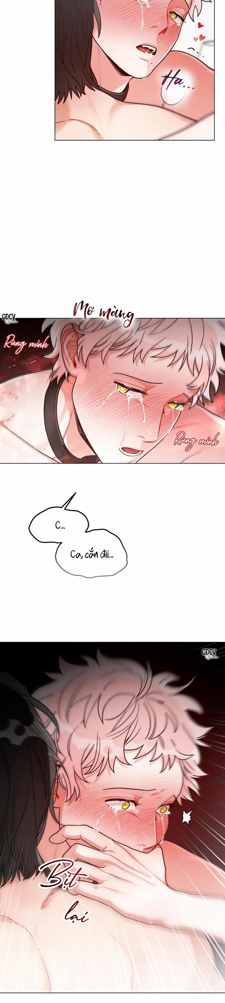 CUỘC GỌI ẨN DANH 5 0 trang 8