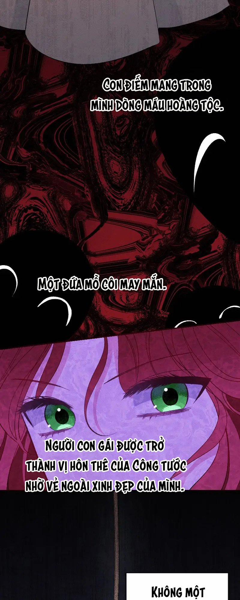 Cuộc Hôn Nhân Bất Đắc Dĩ Của Tôi 14.1 trang 3