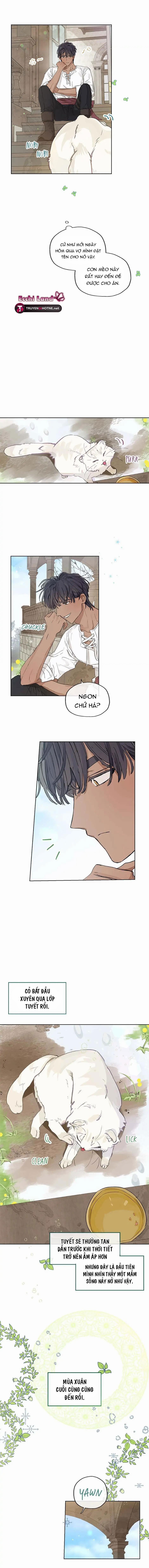 Cuộc Hôn Nhân Bất Đắc Dĩ Của Tôi 15.1 trang 2