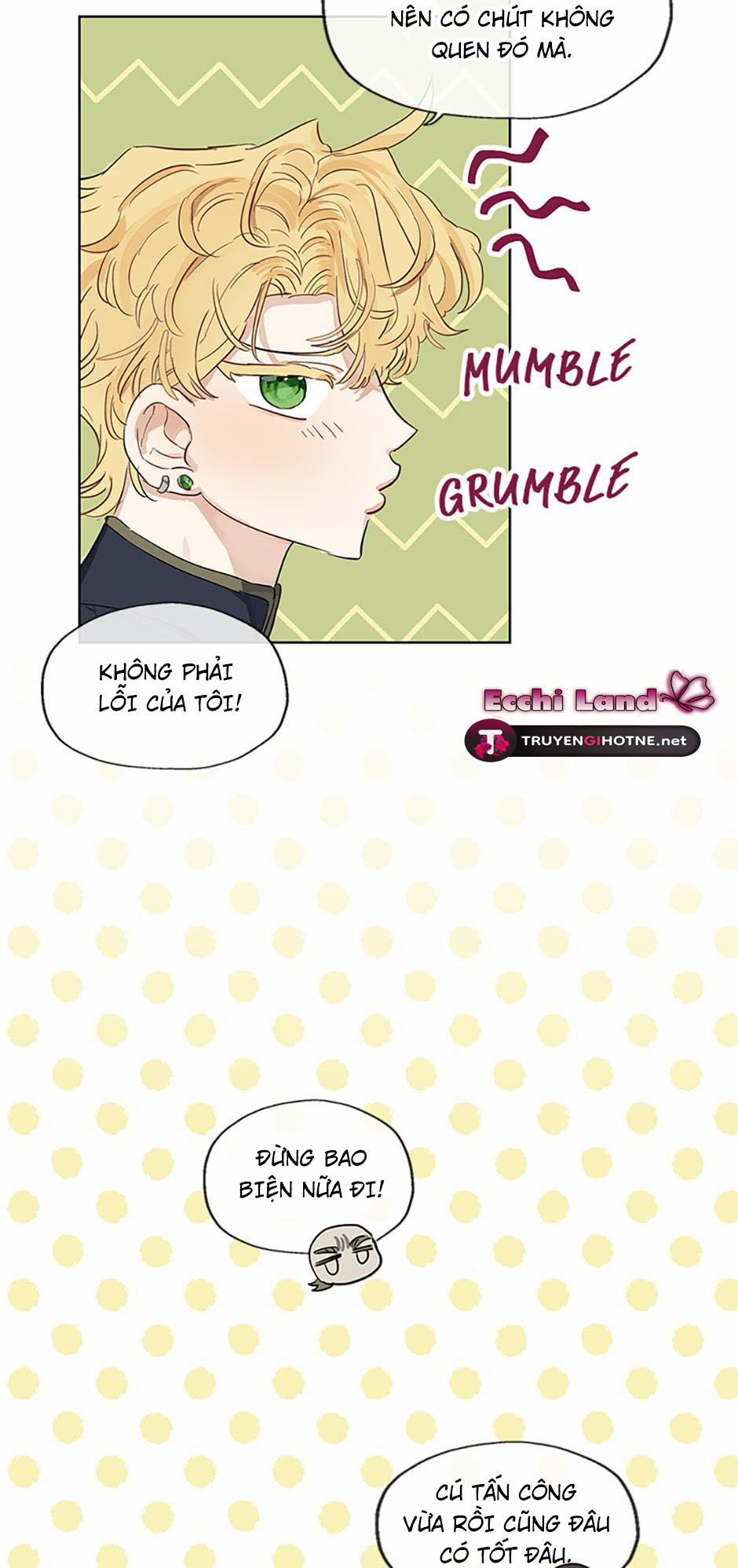 Cuộc Hôn Nhân Bất Đắc Dĩ Của Tôi 33.1 trang 11