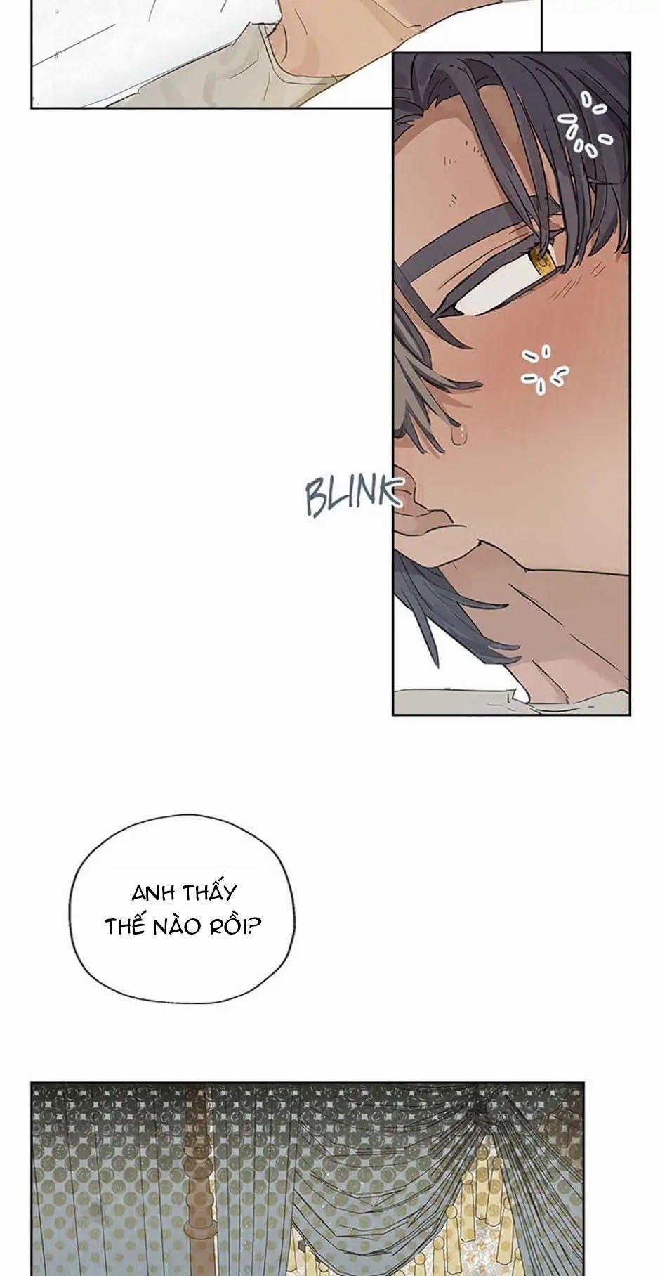 Cuộc Hôn Nhân Bất Đắc Dĩ Của Tôi 6.1 trang 15