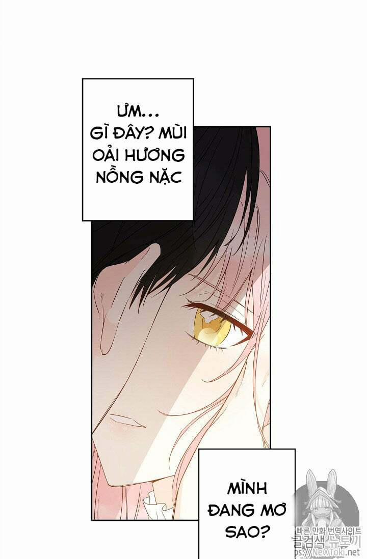 Cuộc Hôn Nhân Giả Dối 28 trang 13