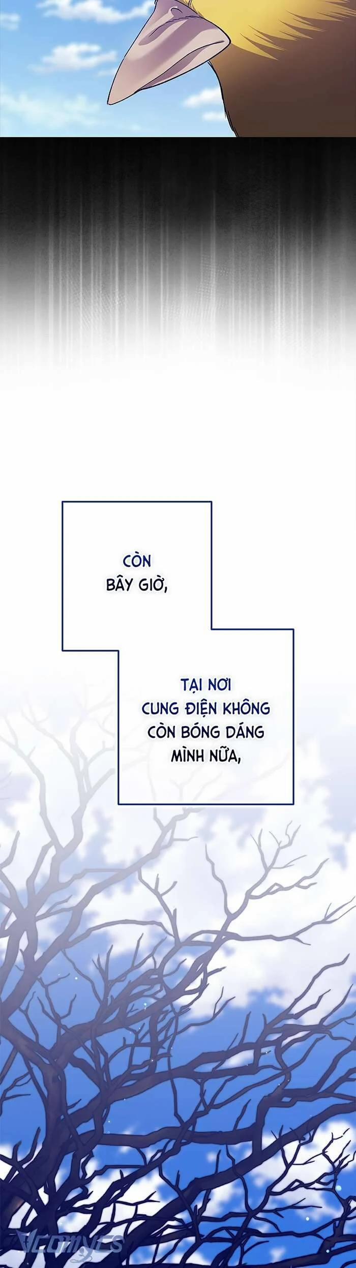 Cuộc Hôn Nhân Này Dù Sao Cũng Sẽ Tan Vỡ Mà Thôi Chương 92 Trang 12