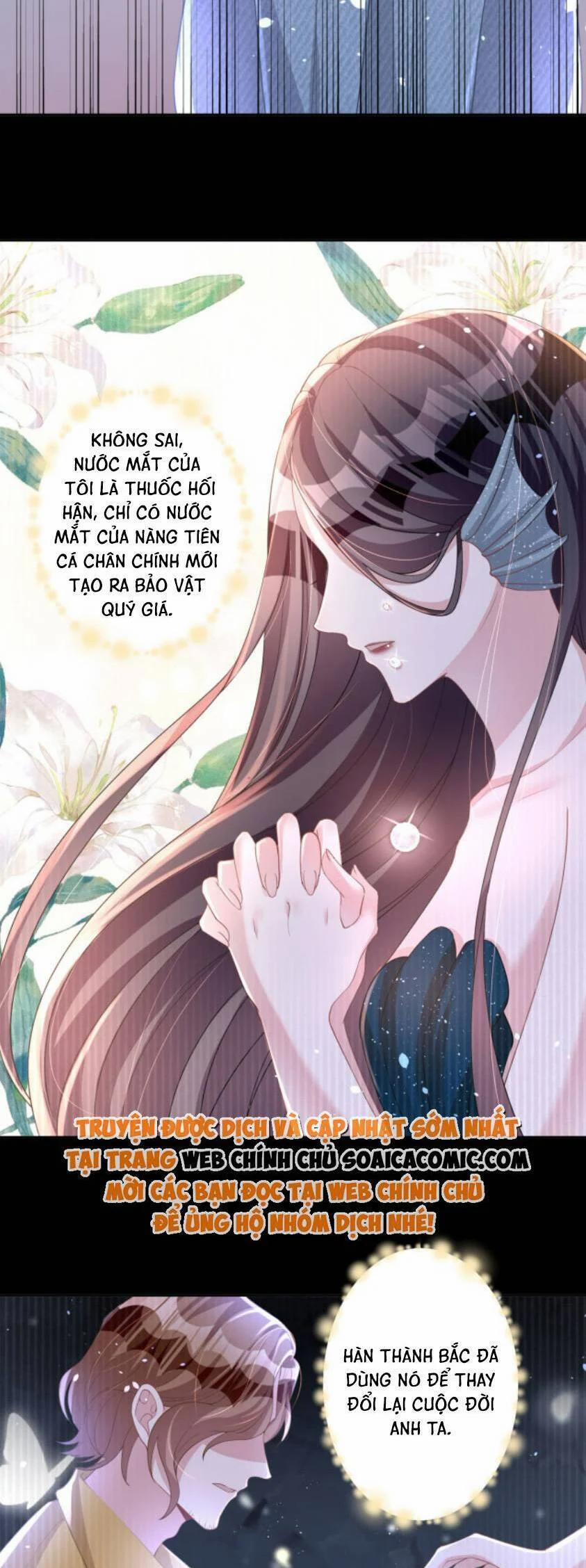 Cuộc Hôn Nhân Với Boss Nhà Giàu Khét Tiếng 19 trang 4