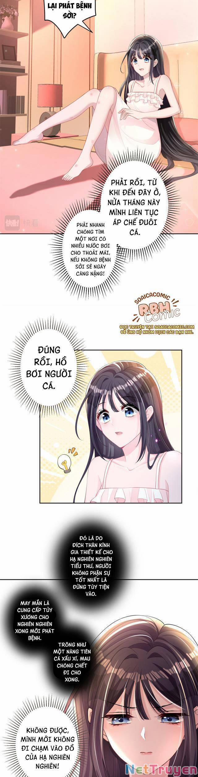 Cuộc Hôn Nhân Với Boss Nhà Giàu Khét Tiếng 6 trang 4