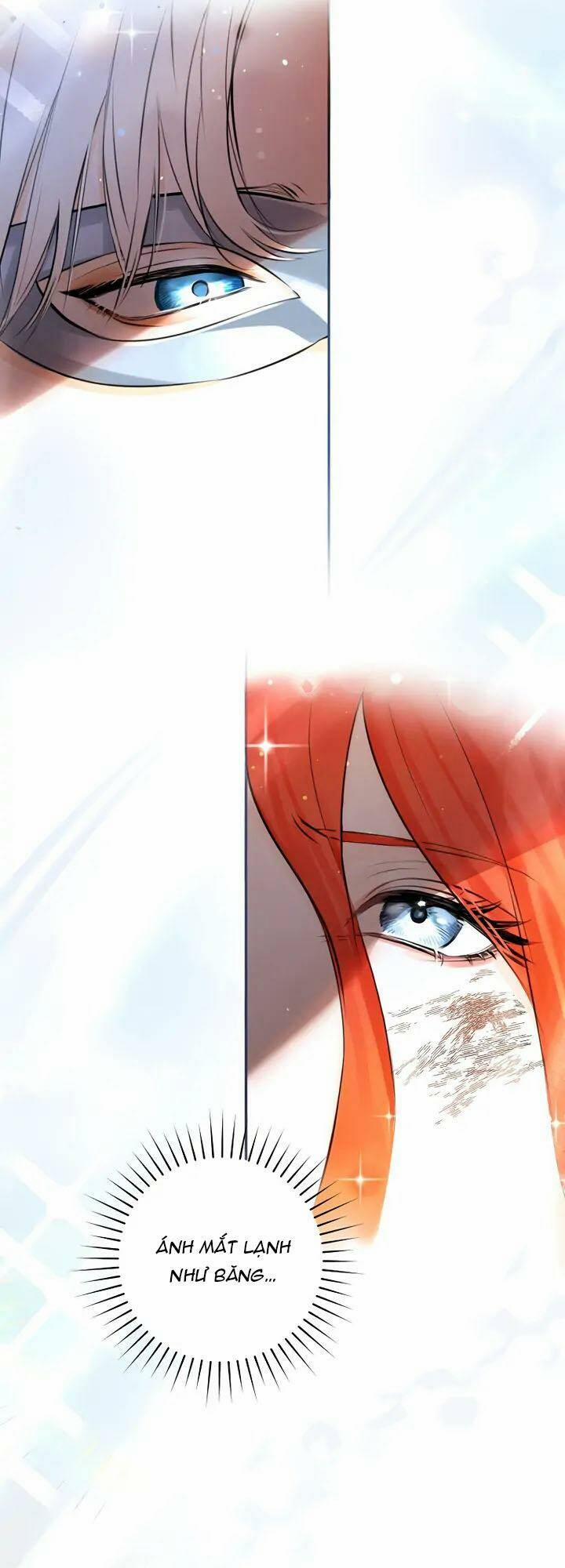 Cuộc Hôn Nhân Xa Hoa Của Đại Công Tước Là Giả 1 trang 11