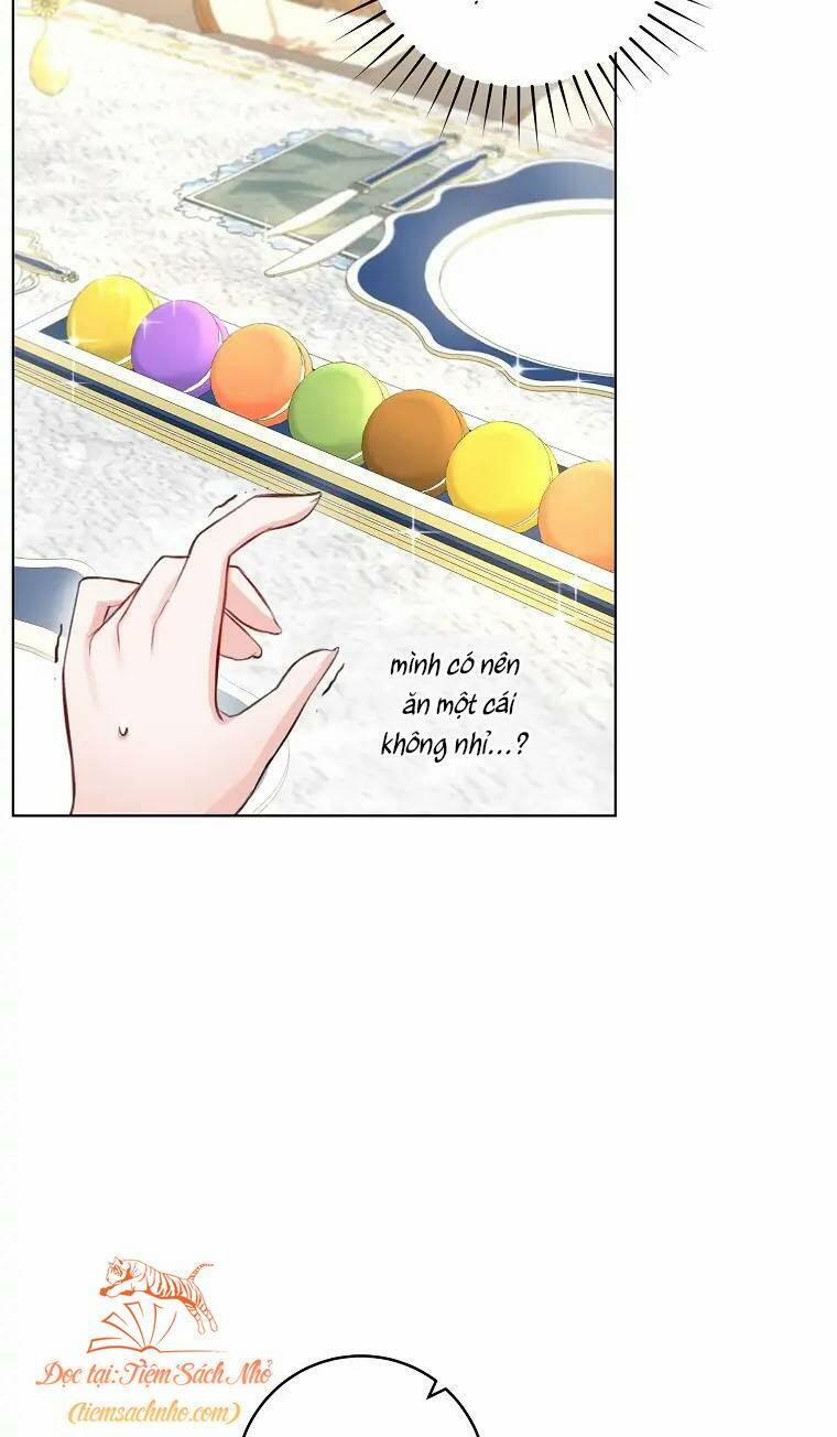 Cuộc Hôn Nhân Xa Hoa Của Đại Công Tước Là Giả 4 trang 11