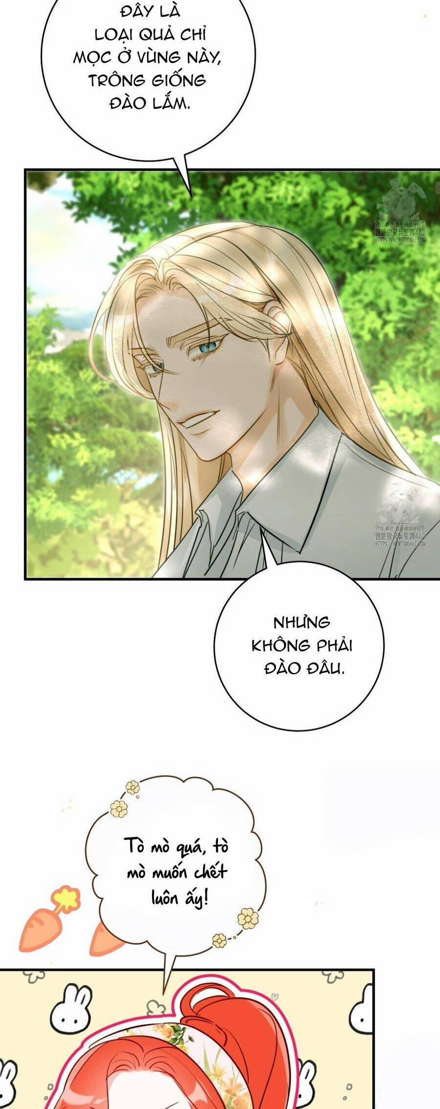 Cuộc Hôn Nhân Xa Hoa Của Đại Công Tước Là Giả 69 trang 13