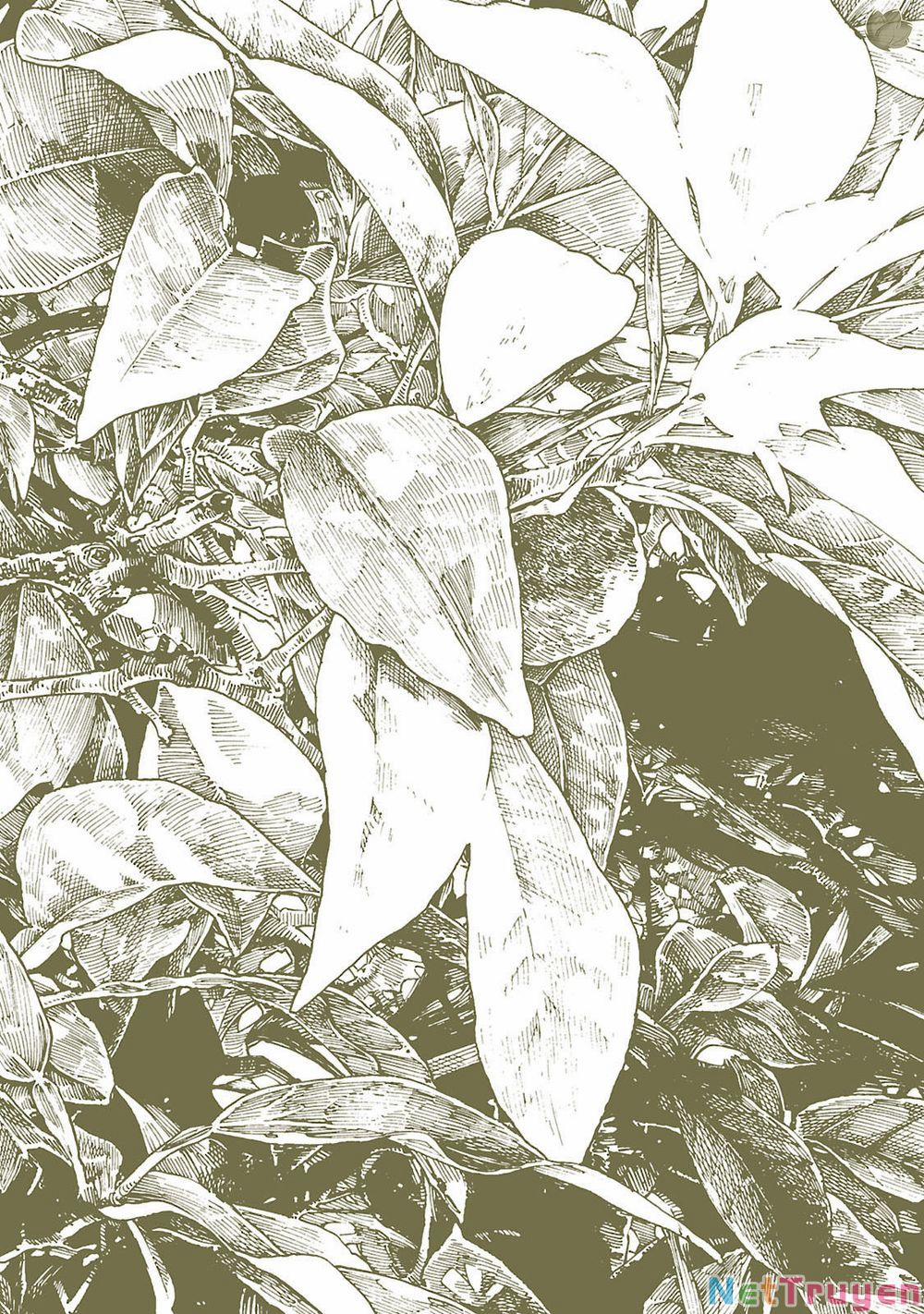 Cuộc Sống Tí Hon Trong Rừng Sâu. 27 trang 2