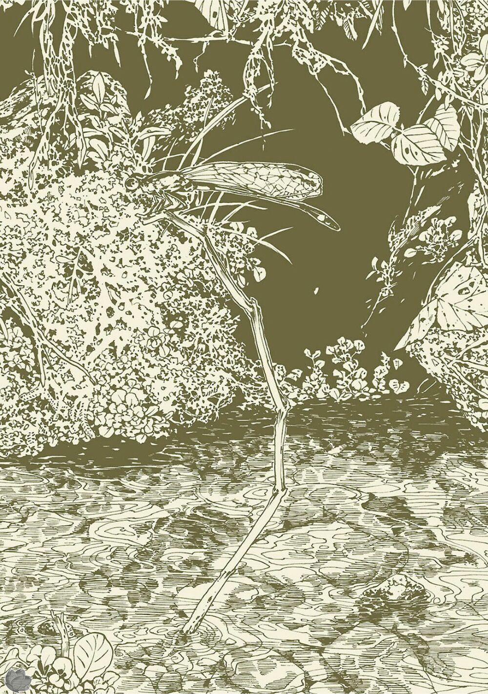 Cuộc Sống Tí Hon Trong Rừng Sâu. 9 trang 2