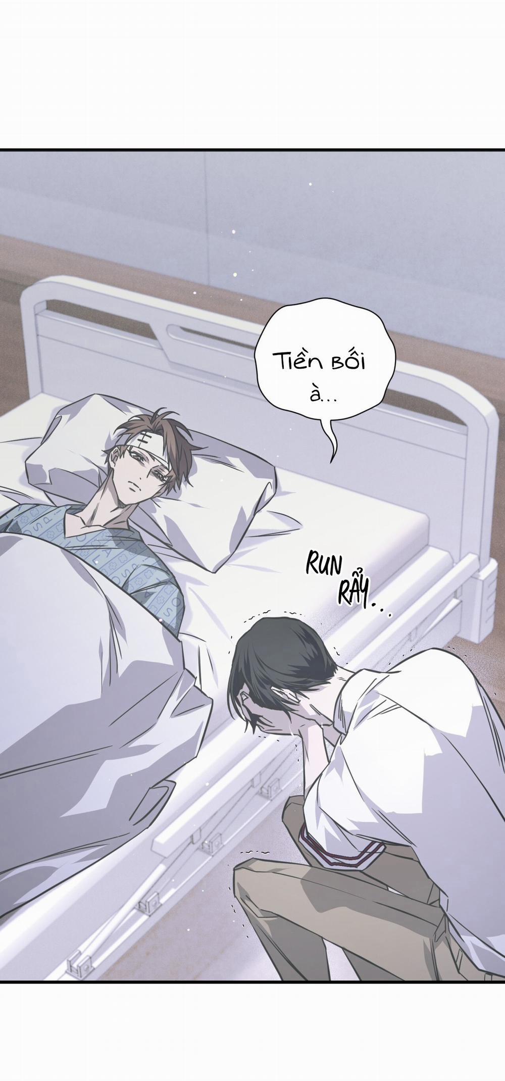 Cuốn Trôi 12 trang 15