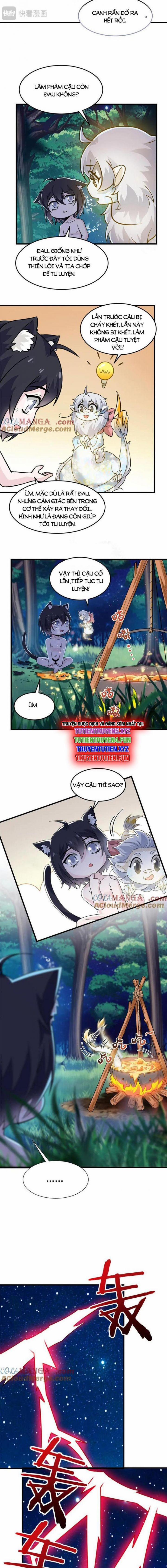 Cường Giả Đến Từ Trại Tâm Thần 324 trang 3